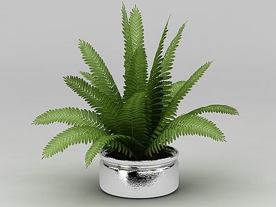 绿色植物盆栽模型3d模型