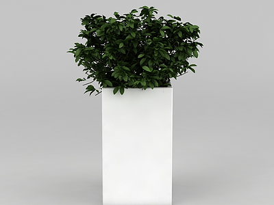 室内花盆绿植模型3d模型