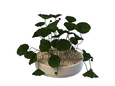 3d植物摆件免费模型