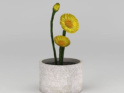 3d黄色小花盆栽模型