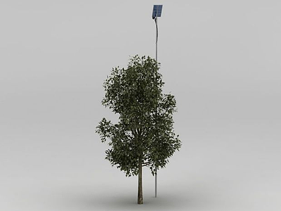 行道树和路灯模型3d模型