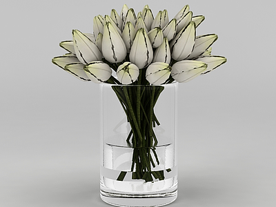 3d室内精美花瓶摆件模型