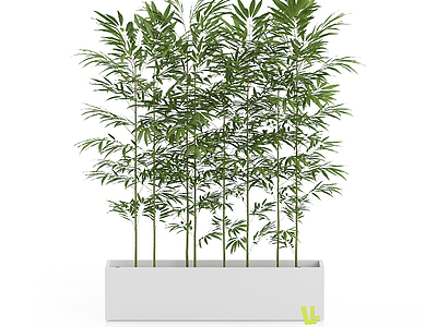 3d竹子盆栽模型