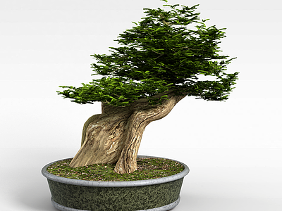 3d现代树木盆栽模型