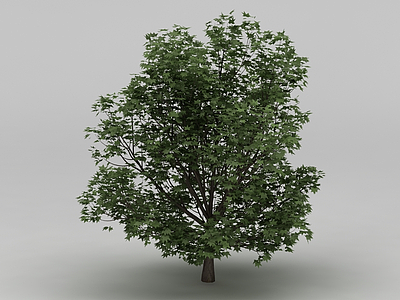 户外景观植物模型3d模型
