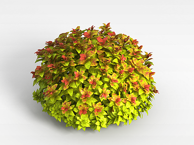 3d植物花草模型
