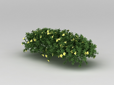 植物花草模型