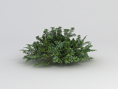 植物绿植模型