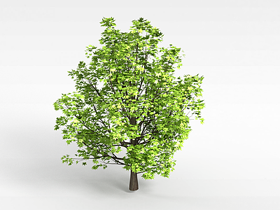 植物大树模型