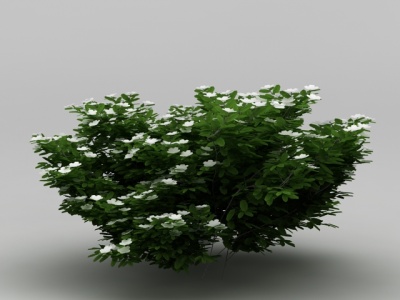 植物花草模型3d模型
