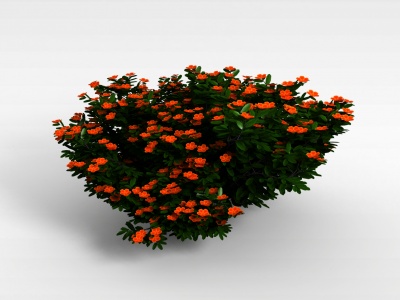 3d植物花草树木模型
