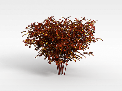 3d植物花树模型
