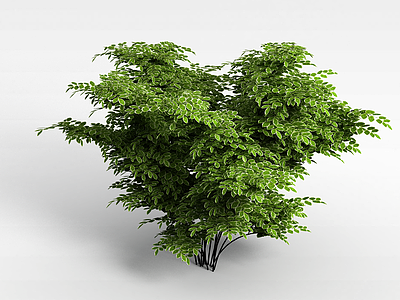 植物大树模型3d模型