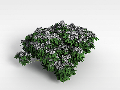 3d植物绿植模型