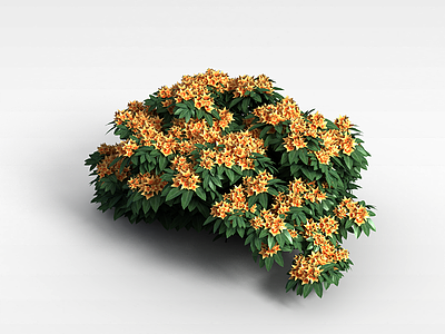 3d植物花草模型