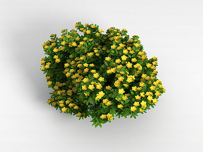 3d植物花草树木模型