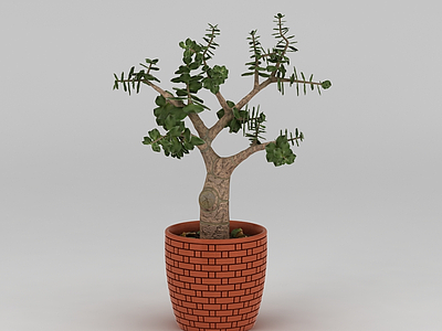 3d室外树苗盆栽免费模型
