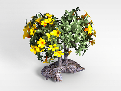 3d植物花树模型