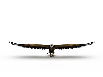 天下3游戏角色动物鹰模型3d模型