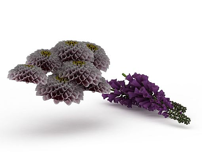 紫色花束模型3d模型