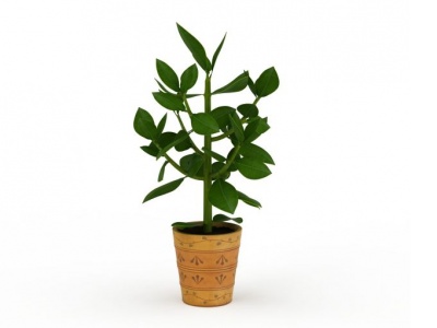 3d花草盆栽模型
