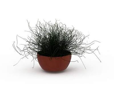 3d藤蔓绿植盆栽模型