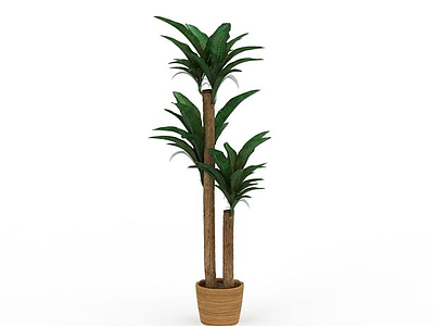 树木盆栽模型3d模型