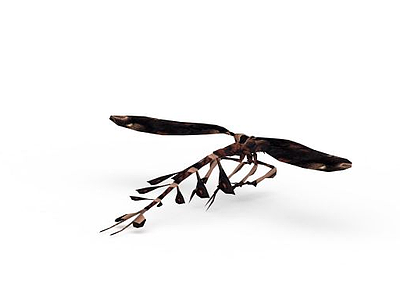 3dnpc昆虫模型