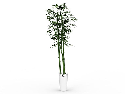 3d竹子盆栽模型