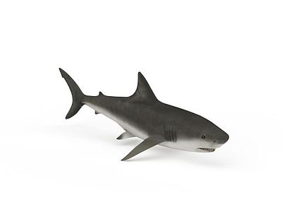 3d鲨<font class='myIsRed'>鱼</font>免费模型