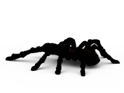 黑色蜘蛛陈设品模型