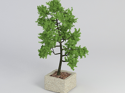 绿树盆栽模型3d模型