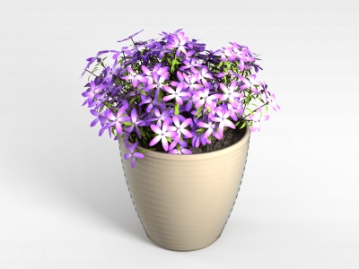 3d紫色盆栽植物模型