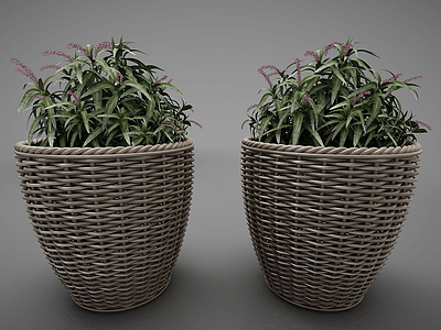 现代风格植物模型