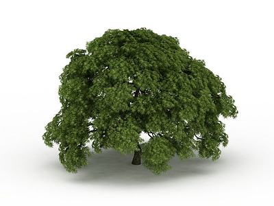 3d大树免费模型