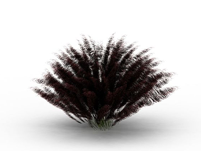 3d絮状植物免费模型