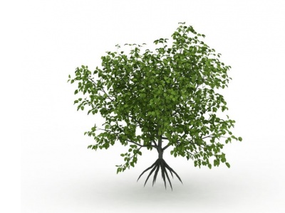 绿树模型3d模型