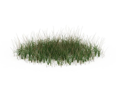 3d野生草丛模型