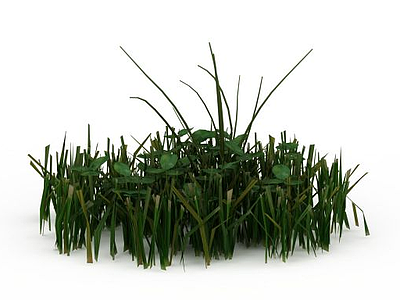 3d绿色草丛模型