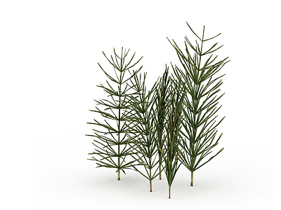 3d绿化植被模型