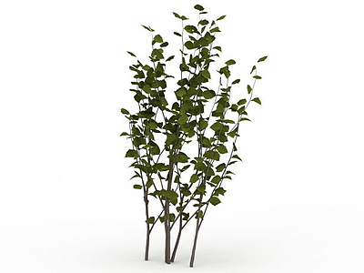 落叶植物模型3d模型
