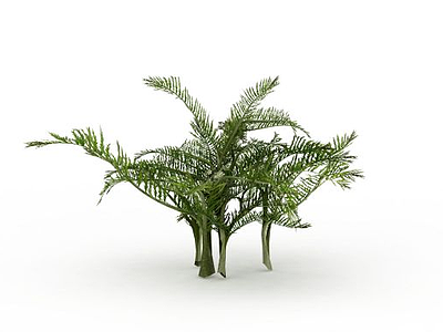 园林绿化植被模型3d模型