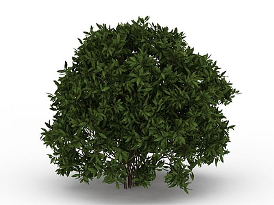3d绿色落叶树模型