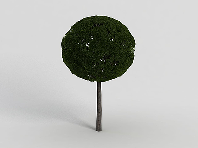 户外园林灌木丛模型