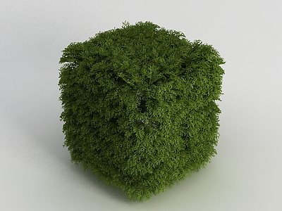 灌木模型