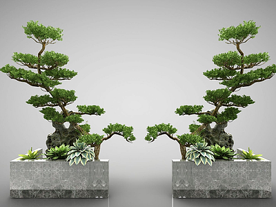 3d现代装饰盆栽模型