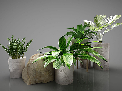 现代装饰盆栽3d模型