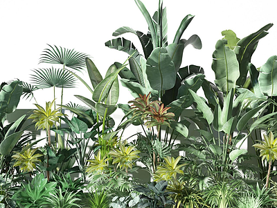 现代植物景观模型3d模型