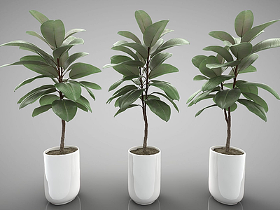 现代装饰盆栽模型3d模型