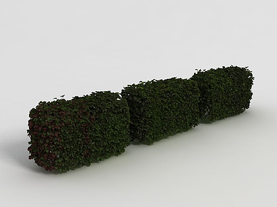 3d灌木模型